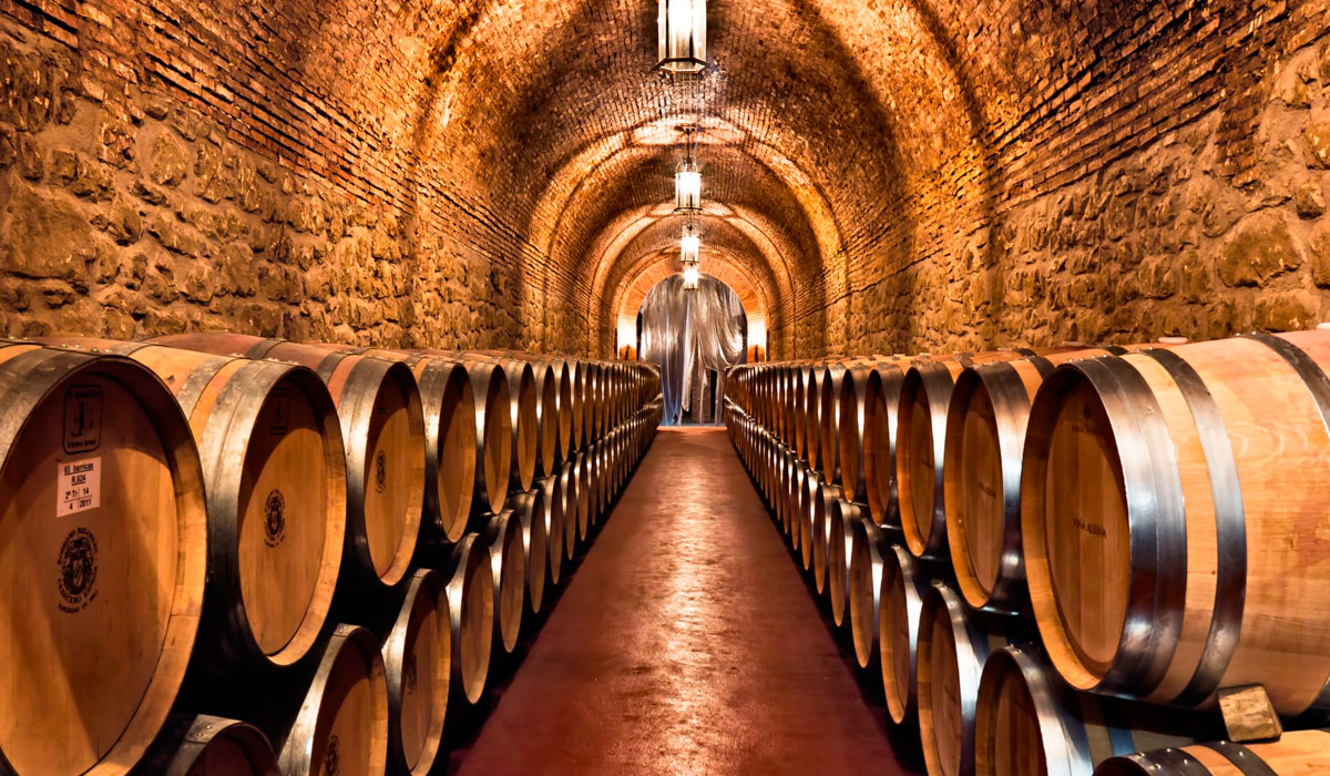 bodegas