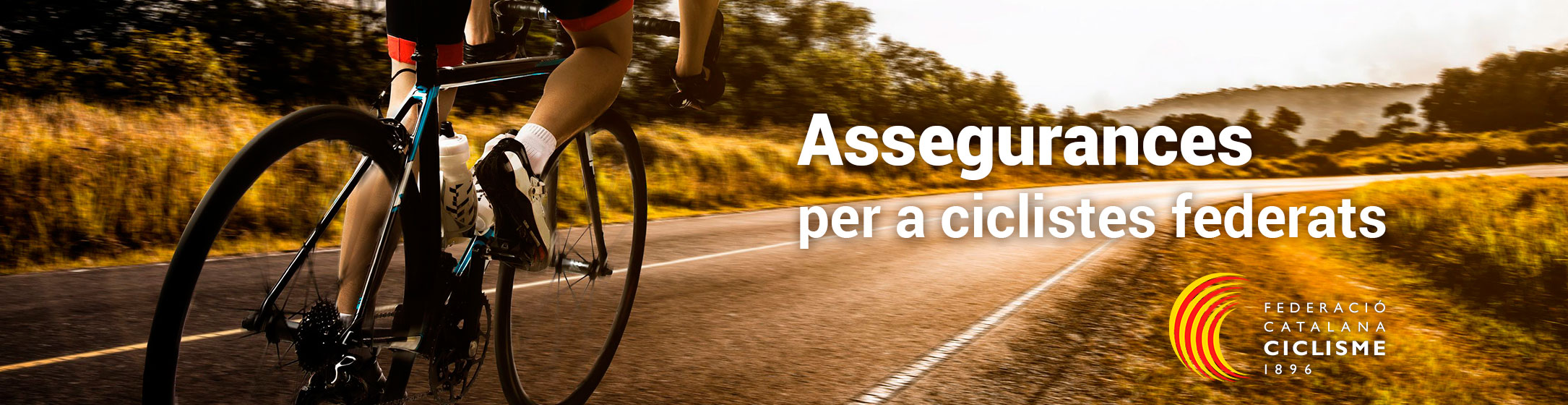 Federació Catalana Ciclisme
